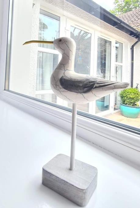 Appartement Nara Seaside Retreat à Cultra Extérieur photo